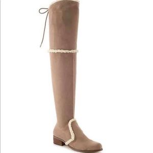 Charles by Charles David NIB ThighHigh Suede Boots